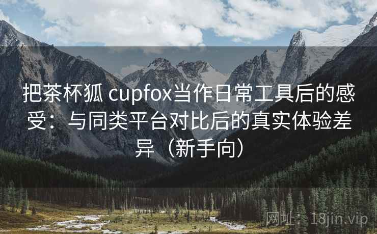 把茶杯狐 cupfox当作日常工具后的感受：与同类平台对比后的真实体验差异（新手向）