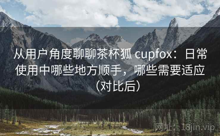 从用户角度聊聊茶杯狐 cupfox：日常使用中哪些地方顺手，哪些需要适应（对比后）