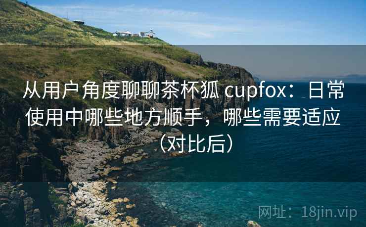 从用户角度聊聊茶杯狐 cupfox：日常使用中哪些地方顺手，哪些需要适应（对比后）