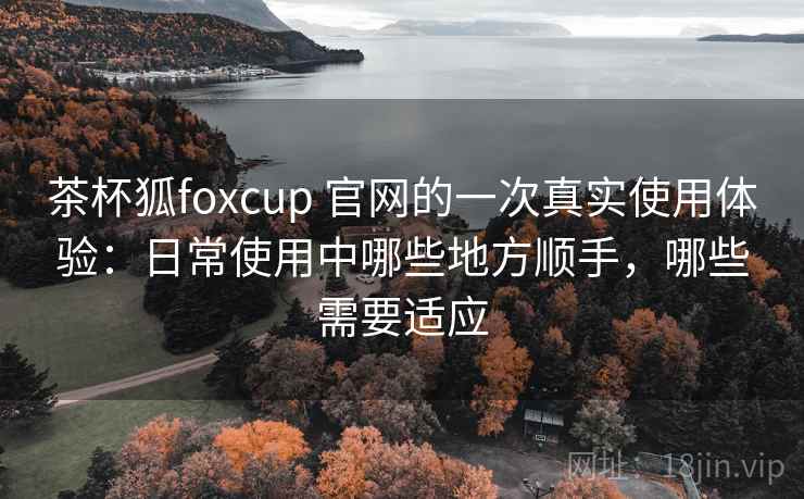 茶杯狐foxcup 官网的一次真实使用体验:日常使用中哪些地方顺手,哪些需要适应 茶杯狐foxcup 官网的一次真实使用体验:日常使用中哪些地方顺手,哪些需要适应