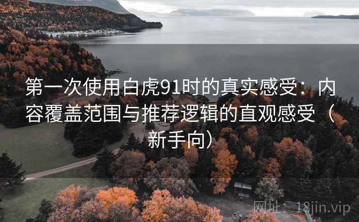 第一次使用白虎91时的真实感受：内容覆盖范围与推荐逻辑的直观感受（新手向）